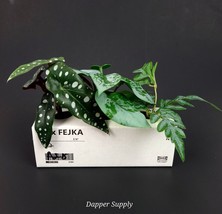 Ikea FEJKA Artificial Potted Plant 5" Indoor/Outdoor Green Pothos - $12.22