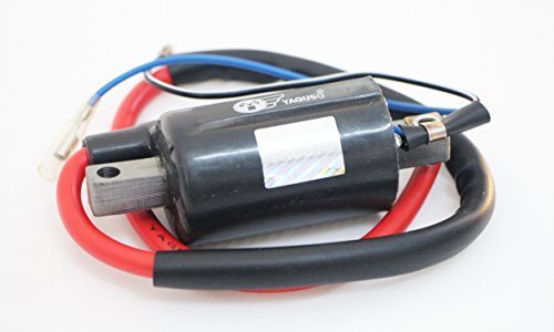 Honda SL100 K0 K1 K2 K3 SL125 Ignition Coil New 6v. [Automotive]