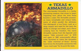 Texas Armadillo  Postcard, New - $2.95