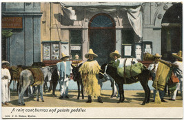 Unposted Early-Century Mexican Burros and Peddlers Postcard - $3.89