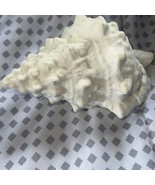 Small Bone China Seashell 4” - $26.89 CAD