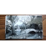 1950&#39;s Postcard Real Photo Bridge Jungle Gardens  Louisiana Swamp People... - $9.89