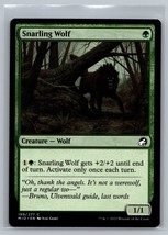 MTG Card Midnight Hunt #199 Snarling Wolf Creature - $0.98