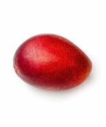 Grafted Miyazaki Mango Authentic Egg Of The Sun Live Fruit Tropical Tree... - $149.10