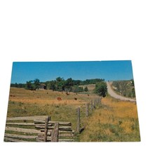 Postcard Greetings From Balderson Ontario Canada Cows in Pasture Chrome ... - $6.92