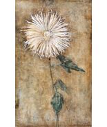 14262.Decor Poster.Room wall art.Piet Mondrian painting.Chrysanthemum flower - $16.20 - $54.00