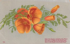 Gold of the Poppies Gold of the Wheat Health of the Golden State Postcard D59 - £4.00 GBP