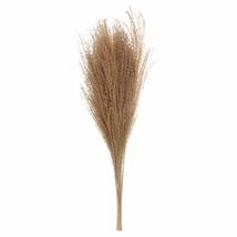 OMICE 10PCS/Bunch Fluffy Wedding Party Photo Props Home Decor Real Pampas Grass  - £15.96 GBP