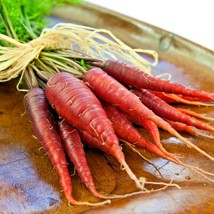 400+ Atomic Red Carrot Vegetable Seeds - £15.66 GBP