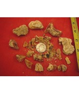 (k-4068) 50 g Rare Kauri tree Gum bag chips copal Amber New Zealand Tane... - $31.78