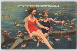 Postcard Linen Lunch Time for Fish at Silver Springs Florida Women Swim Suits PM - £6.95 GBP