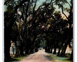 Avenue of Moss Covered Oaks Audobon Park New Orleans LA UNP DB Postcard Y6 - $2.92