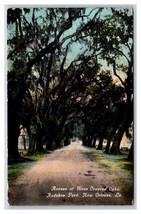 Avenue of Moss Covered Oaks Audobon Park New Orleans LA UNP DB Postcard Y6 - £2.28 GBP