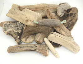Pacific Ocean Driftwood Lot of 14 Pieces Assorted Sizes and Shapes 4&quot; to 16&quot; - £11.89 GBP