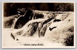 RPPC Salmon Leaping the Falls  Postcard C25 - £6.23 GBP
