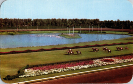 Vtg Postcard Parading to the post on the Turf, Hialeah Race Course, Miami FL - £4.62 GBP