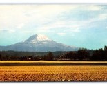 Daffodil Farm Mt Rainier Puyallup Washington WA Chrome Postcard V18 - $2.92