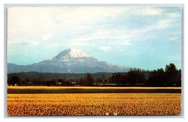Daffodil Farm Mt Rainier Puyallup Washington WA Chrome Postcard V18 - £2.29 GBP