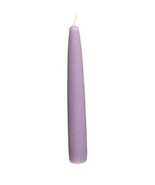 Zest Candle 10-Piece Taper Candles 6-Inch Purple Lavender Plum Unscented... - £15.63 GBP