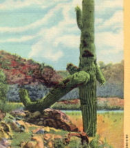 Famous Walking Cactus Postcard Linen Vintage Wickenburg Arizona Desert Old West - £10.01 GBP