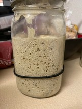 San Francisco  SOURDOUGH STARTER San Francisco culture from our archieves s.f. - £6.41 GBP