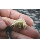 (an-frog-9) FROG gray Picasso MARBLE carving Pendant NECKLACE FIGURINE g... - £6.10 GBP