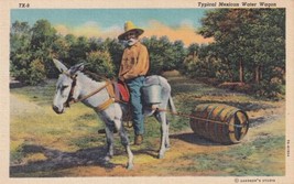 Typical Mexican Water Wagon Texas TX Postcard D57 - $2.99