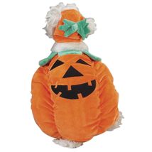 Zack &amp; Zoey Pumpkin Pooch Dog Costume, Small, Orange - $21.75+