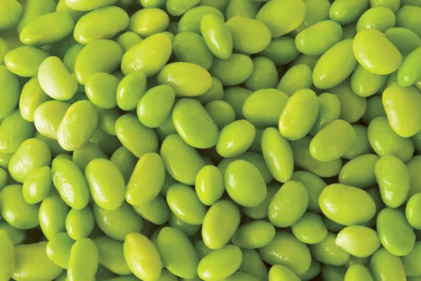 20 Edamame Green Envy Soybean Glycine Max Soy Bean Vegetable Seeds Fresh - $8.00