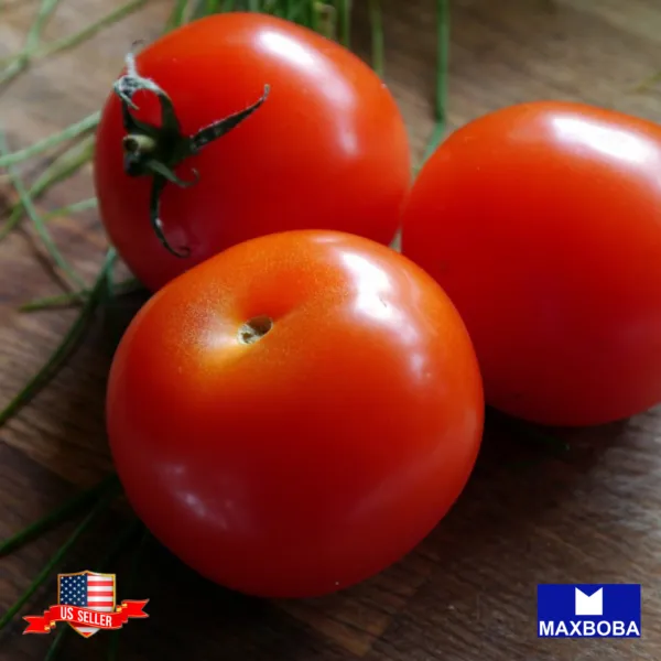 100+ Tomato Seeds Stupice Heirloom Vegetable Non Gmo Garden - $10.48