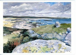Roger Savage Art Postcard Beach Cadden Bay Kejimkujik Nova Scotia 1995 U... - £3.13 GBP