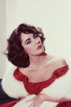 Elizabeth Taylor Stunning Studio Pose Color Poster 18x24 Poster - £19.17 GBP