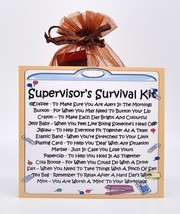 Supervisor Survival Kit - Fun, Novelty Gift &amp; Greetings Card / Secret Santa - £6.57 GBP