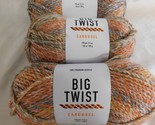 Big Twist Carousel Harvest lot of 3 Dye lot 490780 - £15.22 GBP