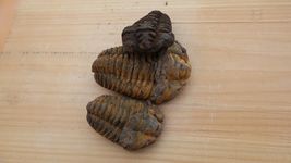 Item image 11