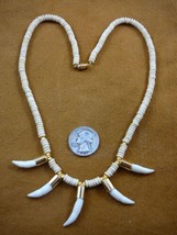 G170-113) five Gold capped 1&quot; Alligator Tooth Teeth aceh bovine bone necklace - £56.27 GBP