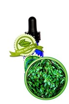 Thyme Essential Oil - 100% PURE Thymus Vulgaris - 8oz (240ml) - Anti-Dan... - £100.20 GBP