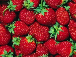 Fortlaramiestrawberries421  9453 thumb200