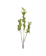 Leaf Foliage Branch (Set of 6) - $1,585.41 MXN