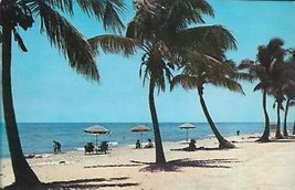 Sun-tanning -- Florida Old Post Card - £1.96 GBP