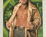 Joey Mercury Trading Card WWE Topps 2006 #46 - £1.54 GBP