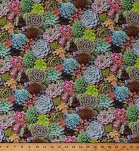 Cotton Succulents Plants Cactus Cacti Landscape Fabric Print By The Yard D650.14 - £24.08 GBP