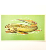 1975 DINICHTHYS Dinosaur Card Vintage Prehistoric Illustration Ephemera ... - $363.77 MXN