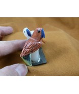 (Y-BIR-PA-484) pair of Parrots white + red love bird gemstone STONE Peru... - $337.95 MXN