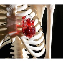 Handmade Creative heart necklace pendant, Anatomical Heart Shape pendant - £80.18 GBP