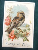 1889 antique BIRD REWARD OF MERIT CARD~JULIA WILHELM from HUGH T. KYLE - £32.91 GBP
