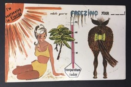 I&#39;m Suntanning in Florida While You&#39;re Freezing Humor Comic PC Posted 1970 - £4.71 GBP