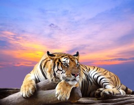 Siberian Tiger Canvas, Wildlife Animal Wall Art, Stretched - $59.90