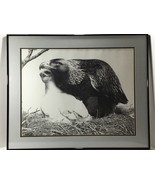Eagle With Baby By Jesse Brobst 1991 Signed And Numbered 25/50 Framed An... - £73.54 GBP