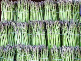 Guashi Store 100 Seeds Asparagus Uc72 Mary&#39;S Granddaughter Heirloom Organic Non  - £6.94 GBP